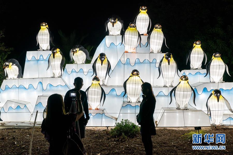 ファンタスティック！米ロサンゼルスでランタン蕓術(shù)フェスティバル