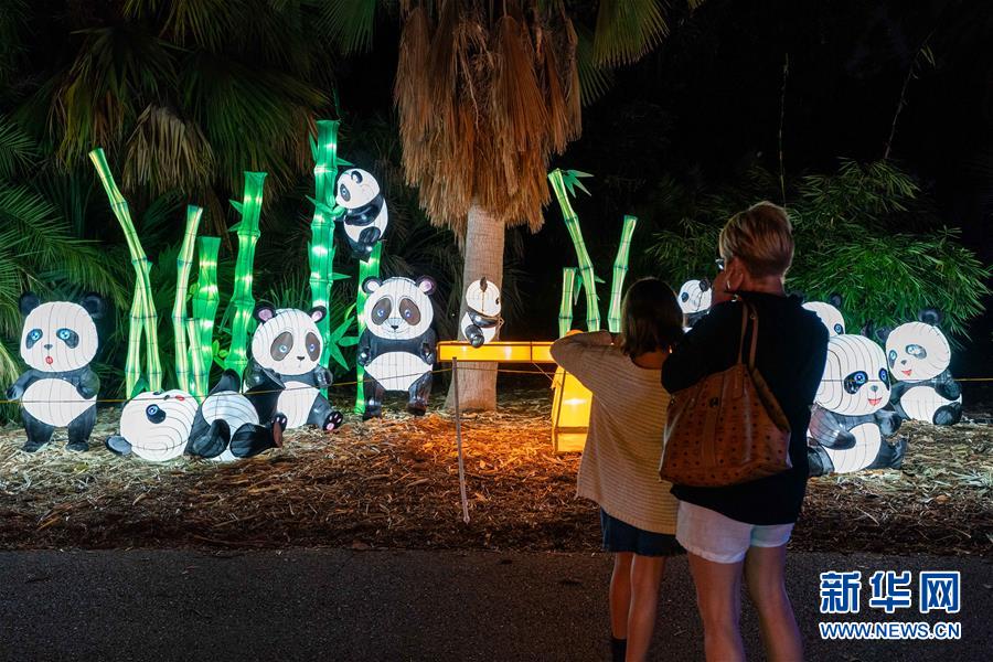 ファンタスティック！米ロサンゼルスでランタン蕓術(shù)フェスティバル