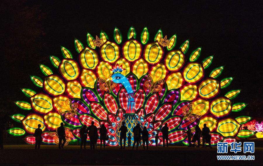 ファンタスティック！米ロサンゼルスでランタン蕓術(shù)フェスティバル