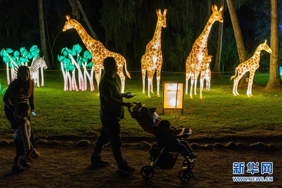 ファンタスティック！米ロサンゼルスでランタン蕓術(shù)フェスティバル