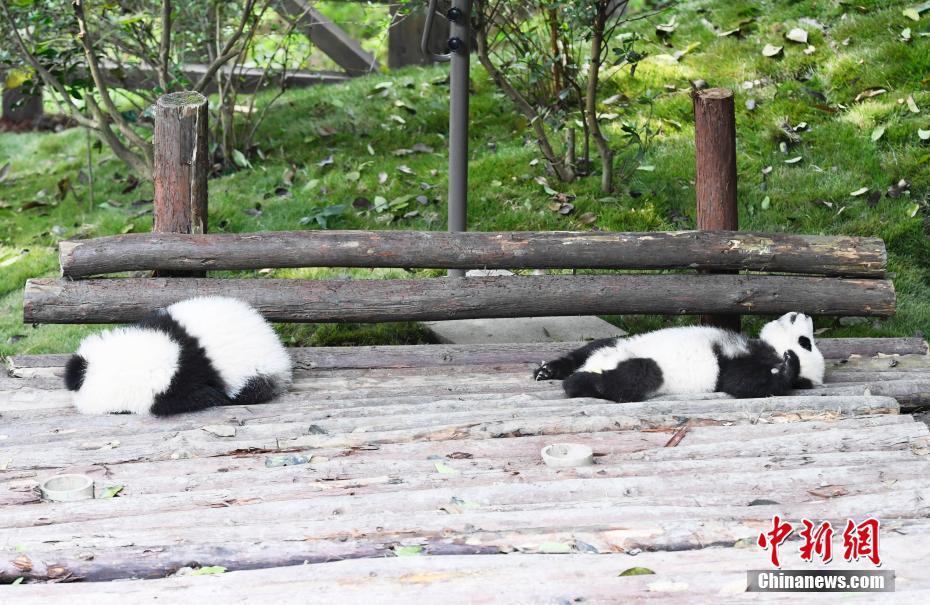 只今「のんびりの秋」を満?jiǎn)酥小〕啥激违靴螗坤郡?></a></td></tr><tr><td class=