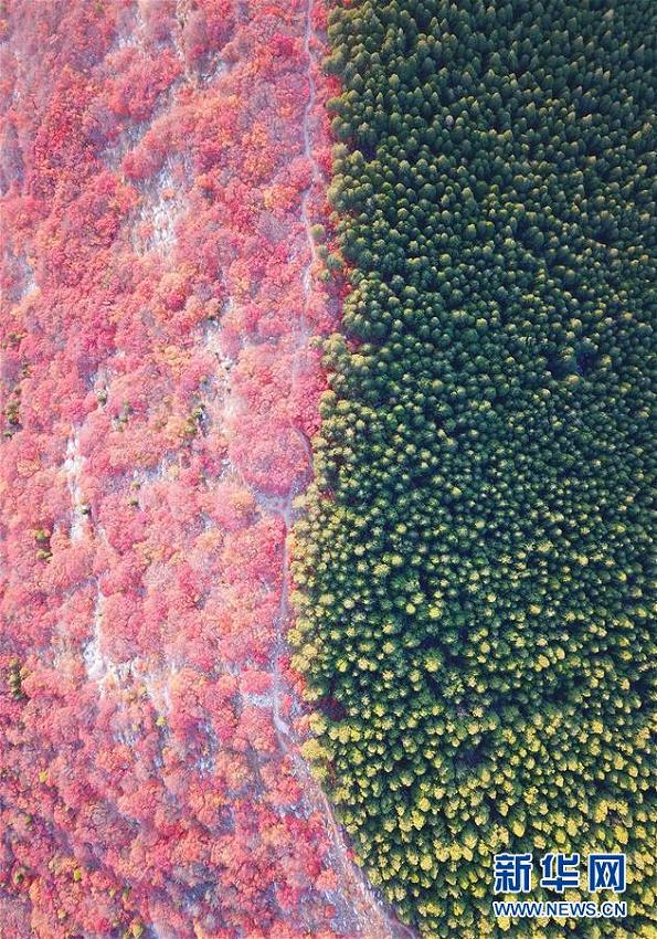 ２色に染まった山　山東省