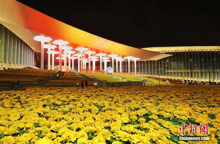 中國(guó)國(guó)際輸入博覧會(huì)メイン會(huì)場(chǎng)のファンタジックなライト演出