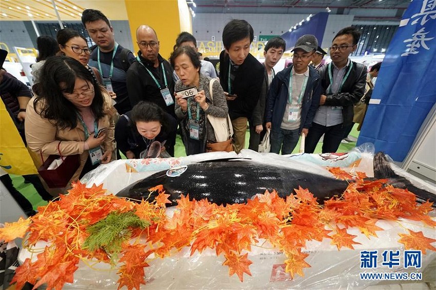 世界の「グルメ」が輸入博覧會に集結(jié)