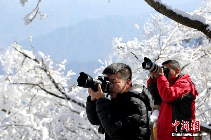 河南老君山、降雪後の清々しい雪景色