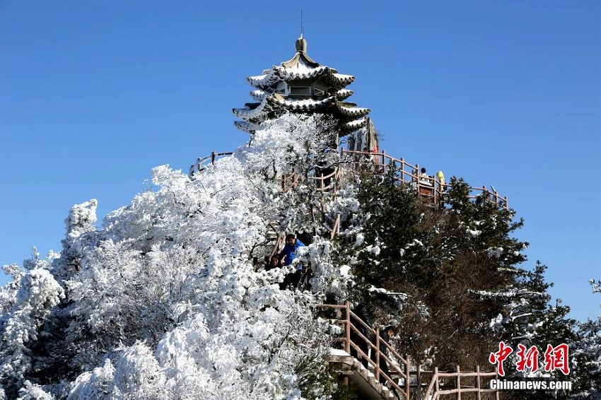 河南老君山、降雪後の清々しい雪景色