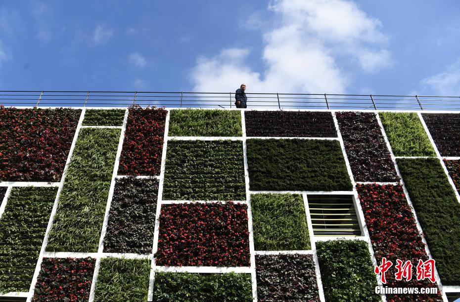 「顔面偏差値高い」公衆(zhòng)トイレが重慶に登場(chǎng)　活花とグリーンで覆われた壁