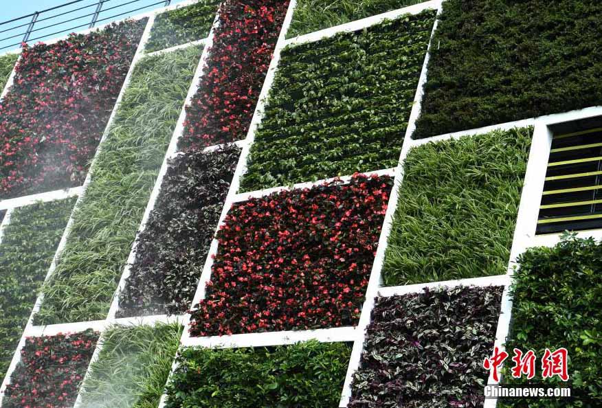 「顔面偏差値高い」公衆(zhòng)トイレが重慶に登場(chǎng)　活花とグリーンで覆われた壁