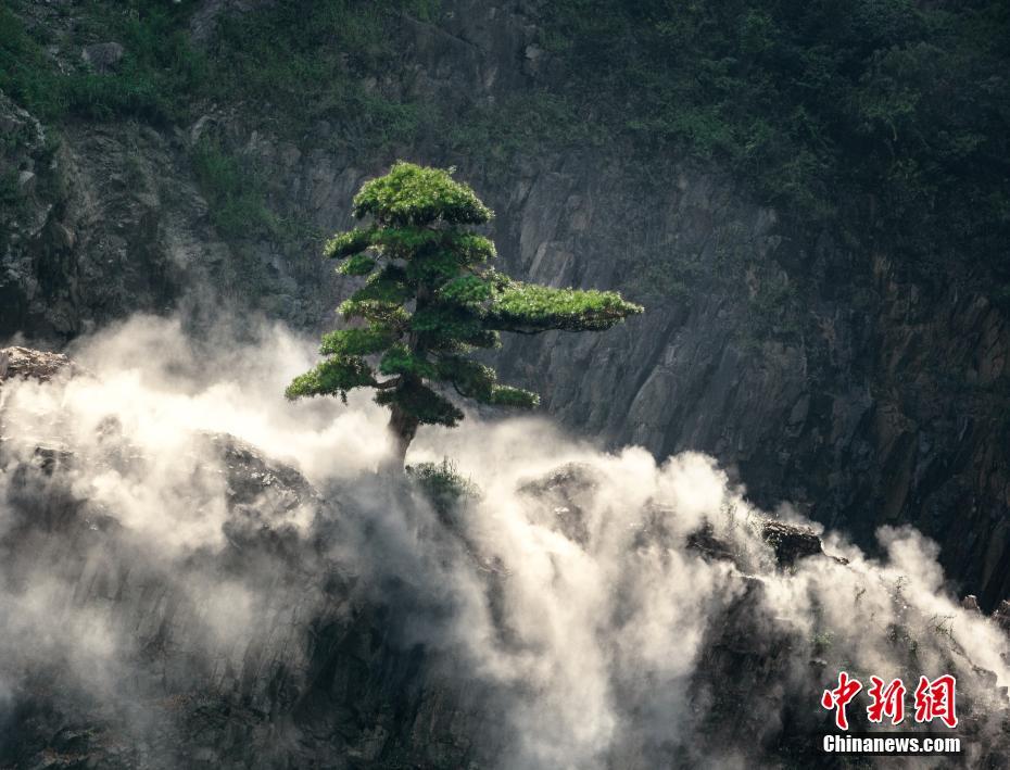 上海の採石場跡地に建設されたホテル、スイートルームには水族館