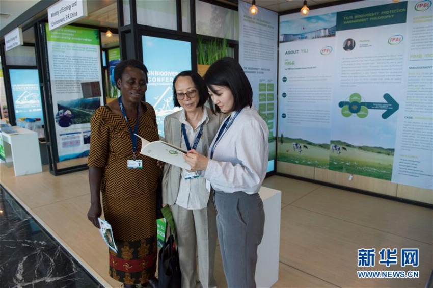 生物多様性の保護(hù)において「中國(guó)の知恵」が貢獻(xiàn)