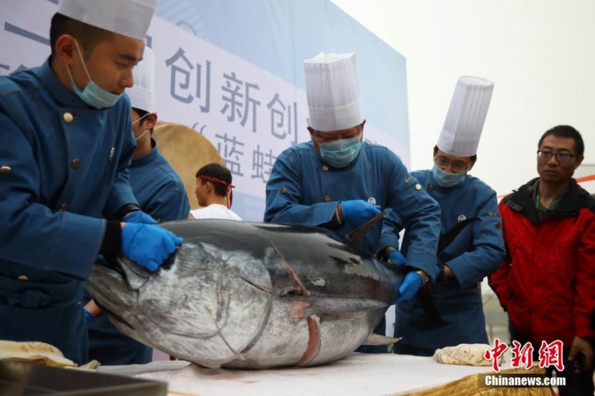 南京市の専門學(xué)校でグルメフェス　50キロのマグロ登場(chǎng)