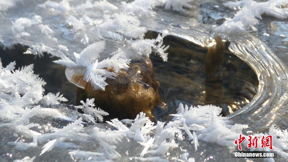 降雪後の晴天、青い空と白い雪の美しいコラボレーション　甘粛省