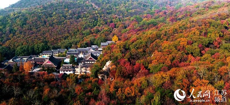 赤く色づいた楓が壯観　南京?棲霞山