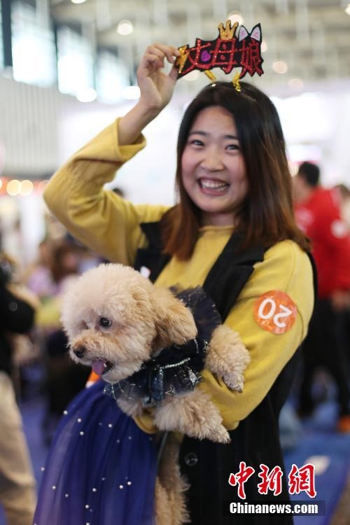 南京市でワンちゃんたちの合同結(jié)婚式　江蘇省