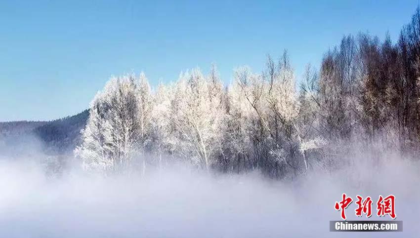 「中國一寒い町」、零下38度の世界に広がる幻想的な樹氷風(fēng)景　黒竜江省