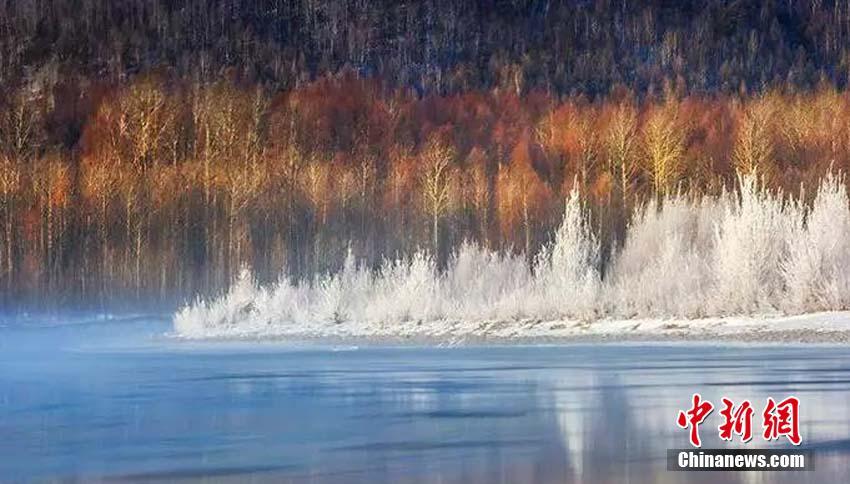 「中國(guó)一寒い町」、零下38度の世界に広がる幻想的な樹氷風(fēng)景　黒竜江省