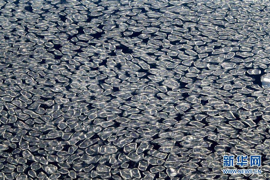 極地観測(cè)船「雪竜號(hào)」がプリッツ灣に到達(dá)