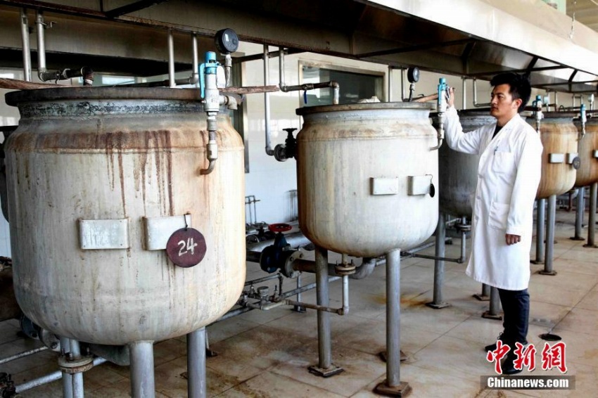 青海省チベット醫(yī)學(xué)院薬浴科をたずねて　人類無(wú)形文化遺産登録の薬浴療法