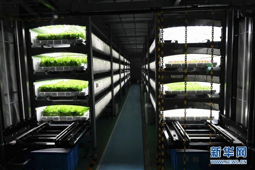 世界初の全自動(dòng)地下植物工場(chǎng)をたずねて　日本