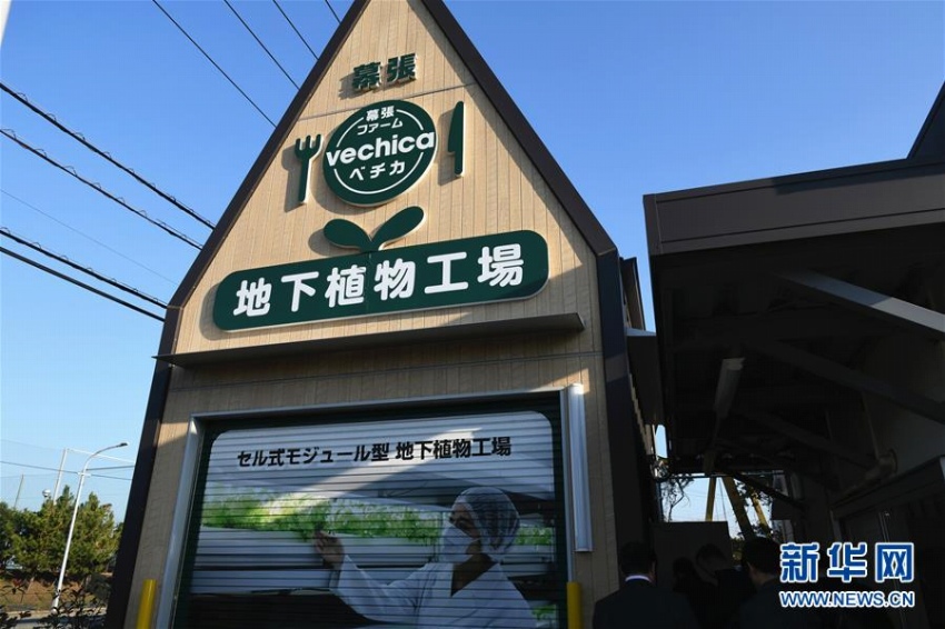 世界初の全自動(dòng)地下植物工場(chǎng)をたずねて　日本