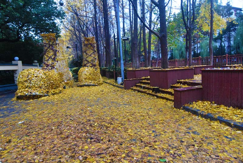 巨大な「黃金のスニーカー靴」が杭州の街中に登場 浙江省