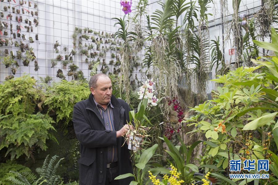 スイスの「中國(guó)ファン」農(nóng)場(chǎng)主は地元の有名人