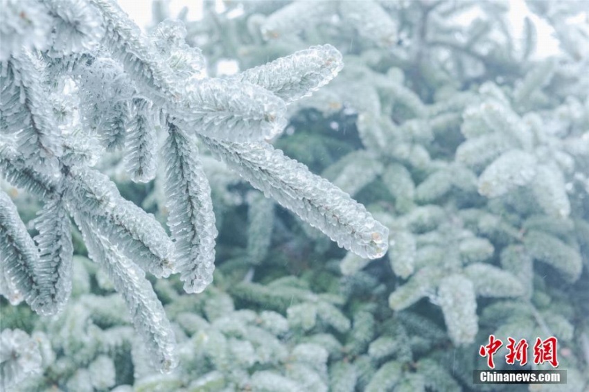 廬山に樹氷、キラキラとした氷に覆われた瑠璃の世界に