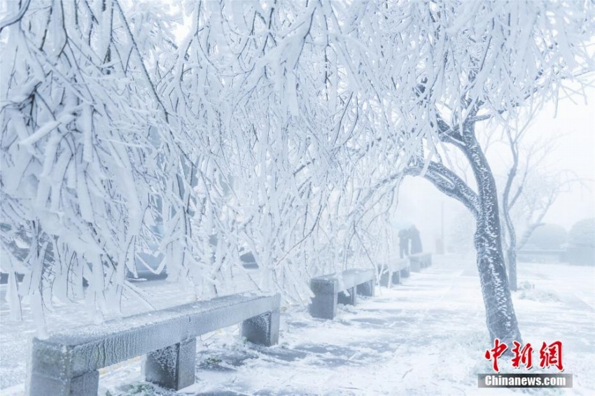 廬山に樹氷、キラキラとした氷に覆われた瑠璃の世界に