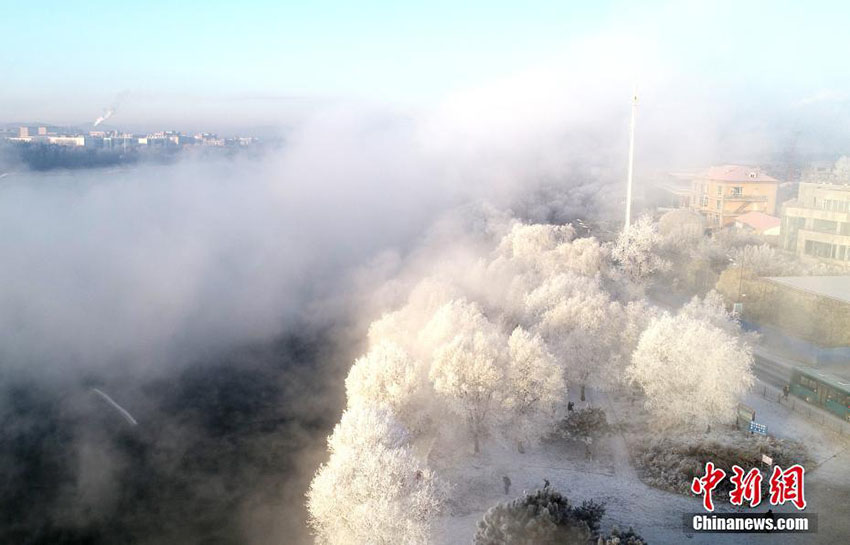 松花江ほとりに「5つ星」級の樹氷現(xiàn)る　吉林省