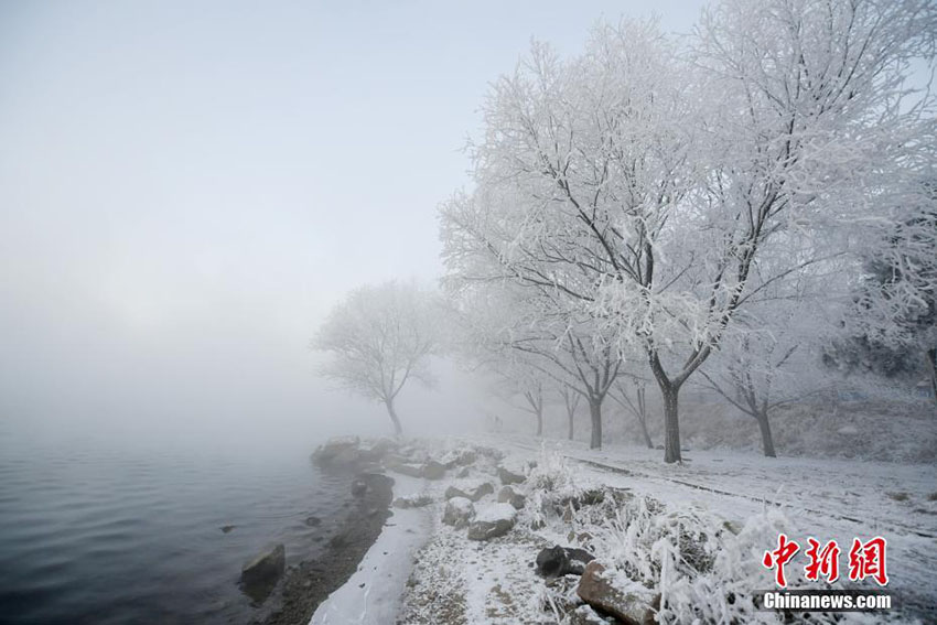 松花江ほとりに「5つ星」級の樹氷現(xiàn)る　吉林省