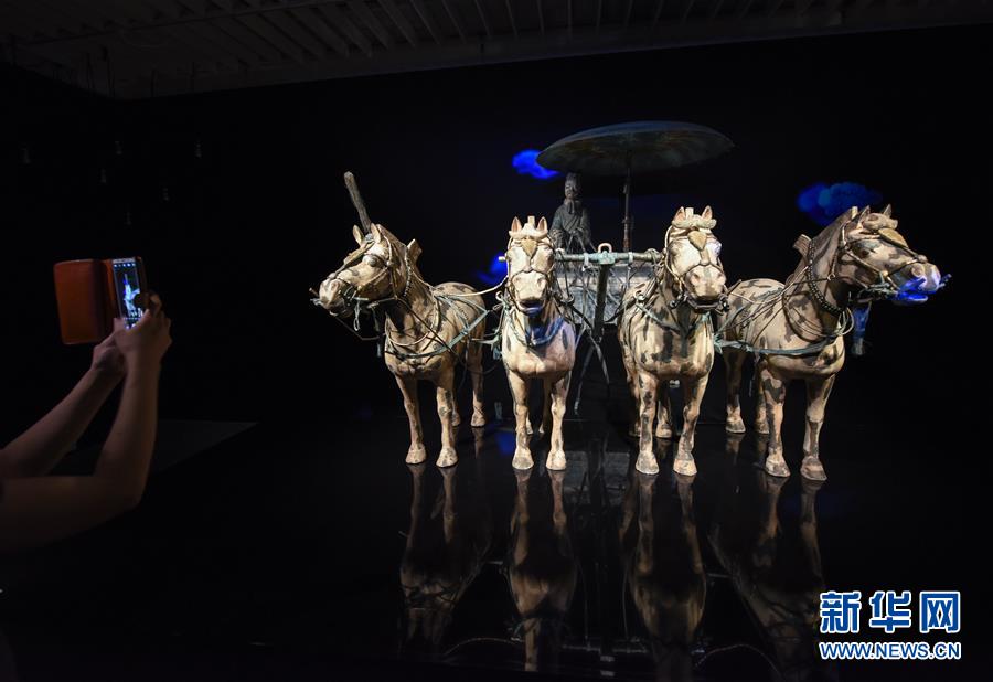 「秦の始皇帝兵馬俑?永遠(yuǎn)の守衛(wèi)」展がニュージーランドでプレオープン