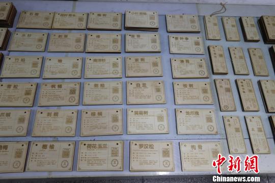 江西省の大學(xué)生、200本の植物に専用の「身分証」を作成