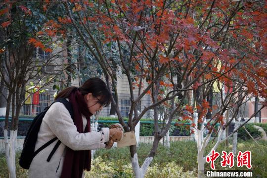 江西省の大學(xué)生、200本の植物に専用の「身分証」を作成