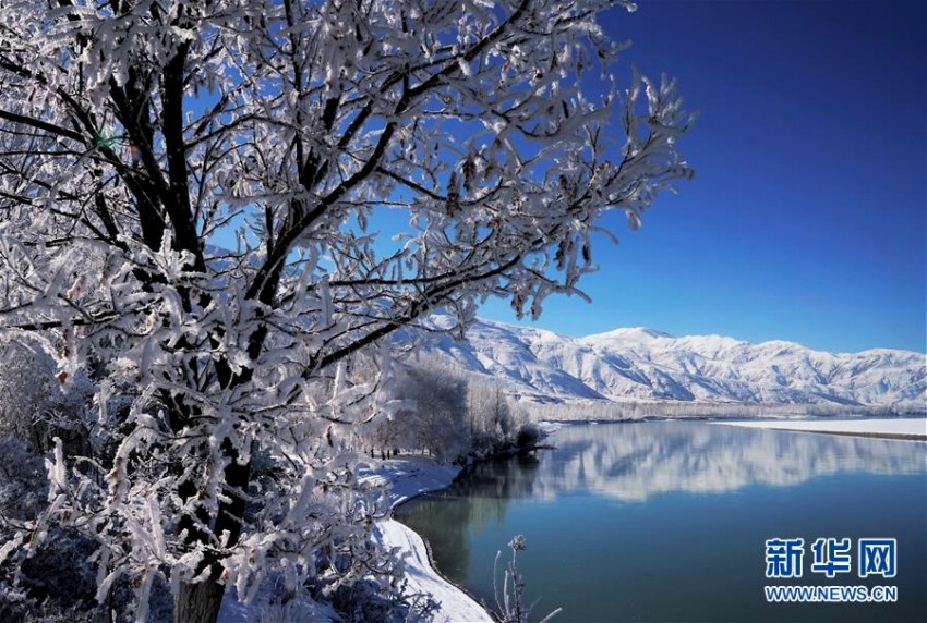 ヤルンツァンポ川流域に樹(shù)氷　チベット自治區(qū)