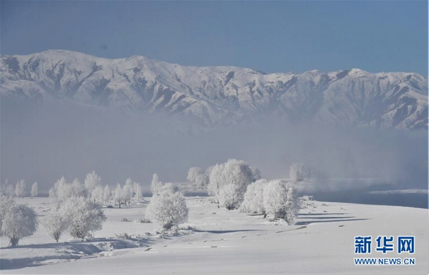 ヤルンツァンポ川流域に樹氷　チベット自治區(qū)