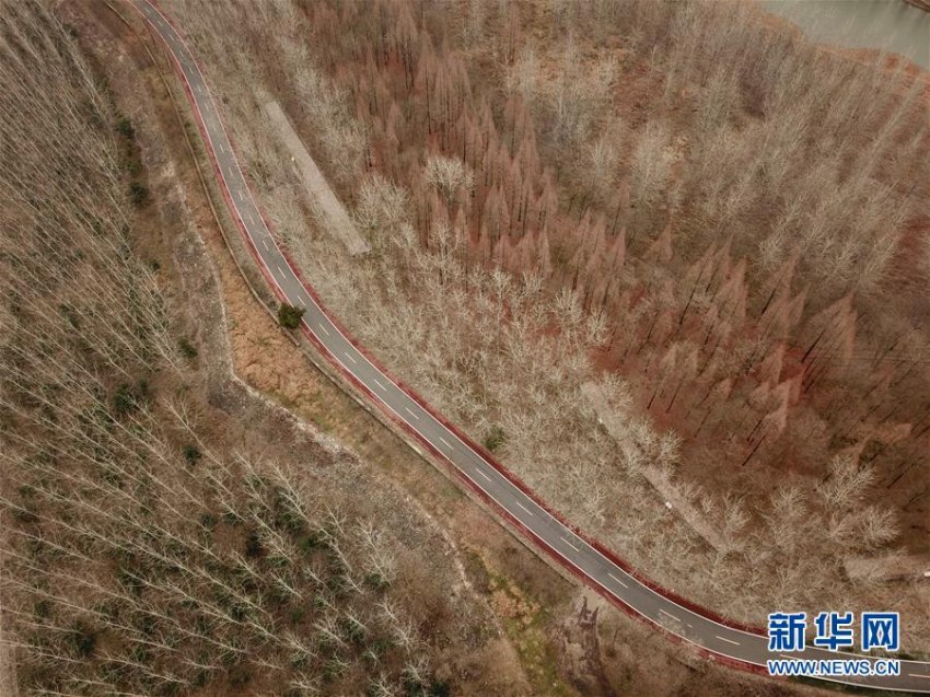 連なる木々が作り上げた洪沢湖ダムの絶景　江蘇省