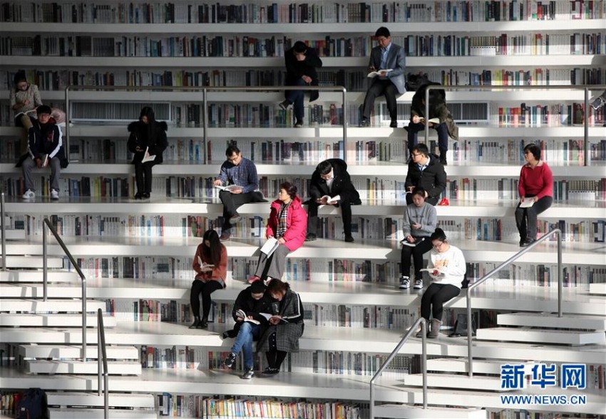 「浜海の目」で見る「書の山」　天津市の浜海新區(qū)図書館