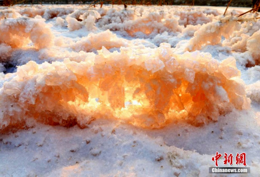 山西省運(yùn)城塩湖に美しい塩の結(jié)晶「硝花」