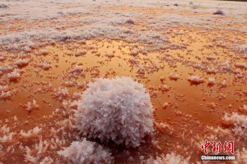 山西省運(yùn)城塩湖に美しい塩の結(jié)晶「硝花」