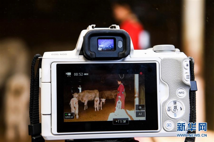 故郷に戻り牧草地での暮らしを配信し、人気集めるモンゴル族の女性