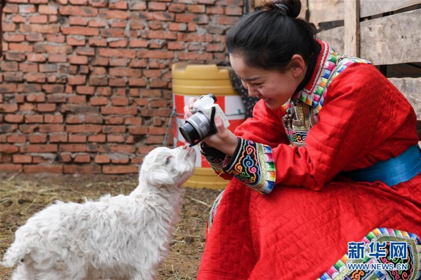 故郷に戻り牧草地での暮らしを配信し、人気集めるモンゴル族の女性