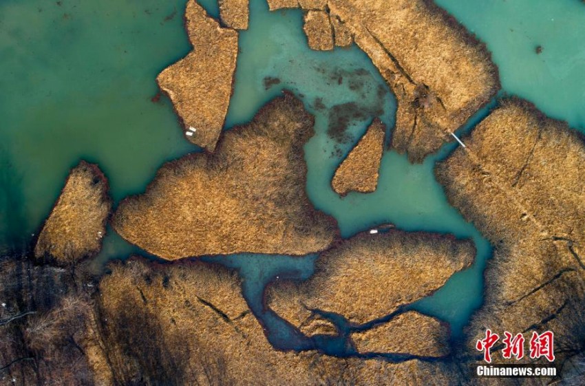 色彩豊かな淮安市の古黃河濕地公園　江蘇省