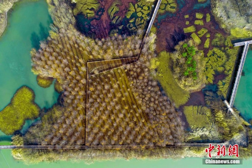 色彩豊かな淮安市の古黃河濕地公園　江蘇省