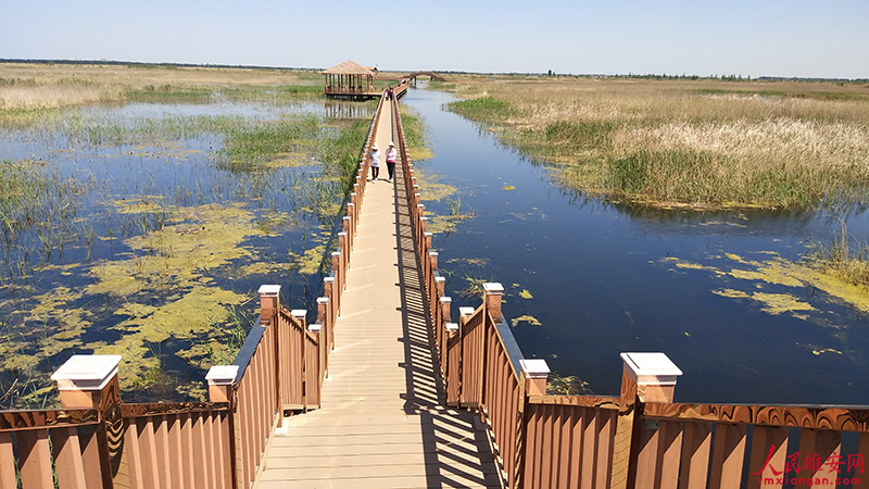 寫真で味わう雄安の美しい四季折々