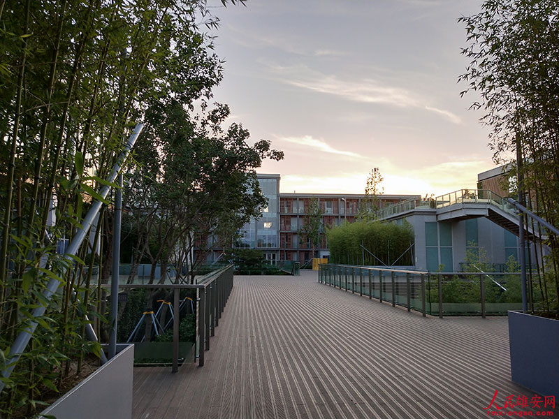 寫(xiě)真で味わう雄安の美しい四季折々