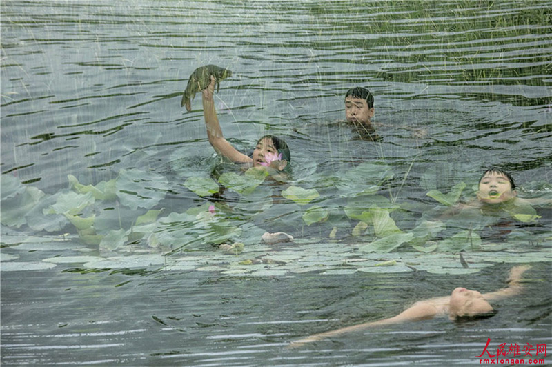 寫真で味わう雄安の美しい四季折々