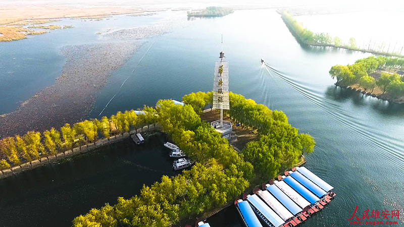 寫真で味わう雄安の美しい四季折々