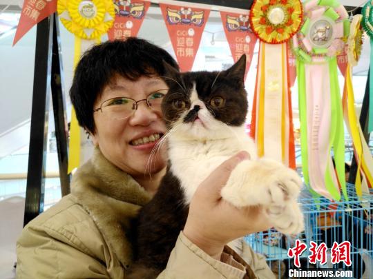 來場者もネコちゃんたちの可愛さに思わずニッコリ　瀋陽國際名貓展