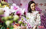 新春をランの花で華やかに祝う　香港地區(qū)で「新春花市」