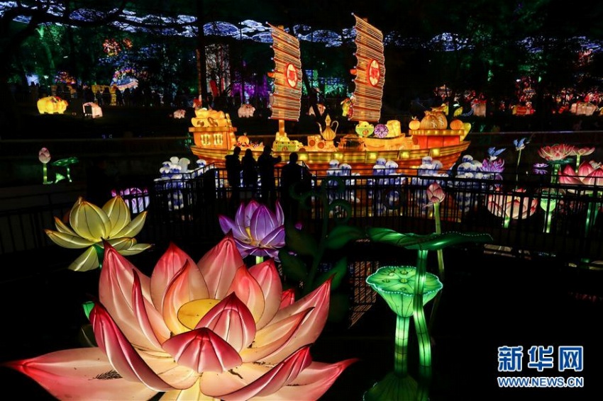 「國際恐竜ランタン祭り」開幕　四川自貢